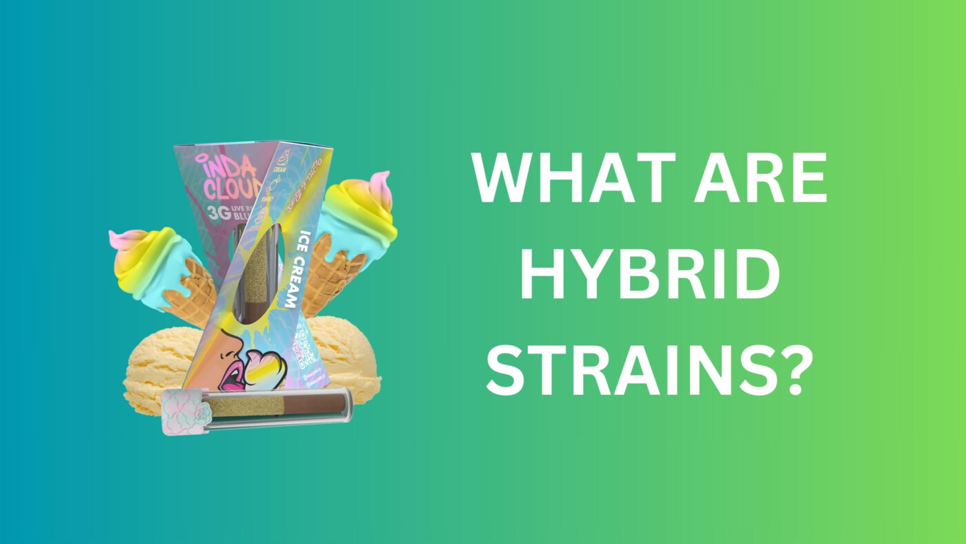 What Are Hybrid Strains? A Comprehensive Guide For Buyers 6 What Are Hybrid Strains
